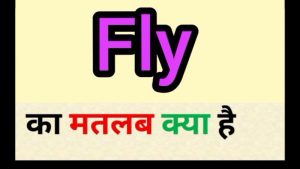 fly meaning in hindi