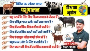 fodder meaning in hindi 3