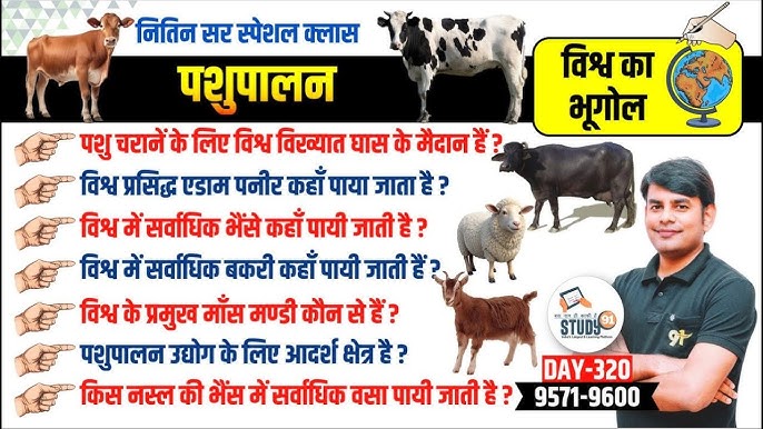 पशुधन के लिए चारे का महत्व: पोषण, स्वास्थ्य और उत्पादकता