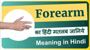 forearm meaning in hindi
