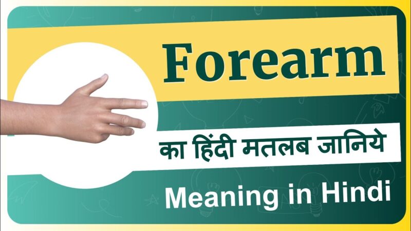 forearm meaning in hindi - Hình 1