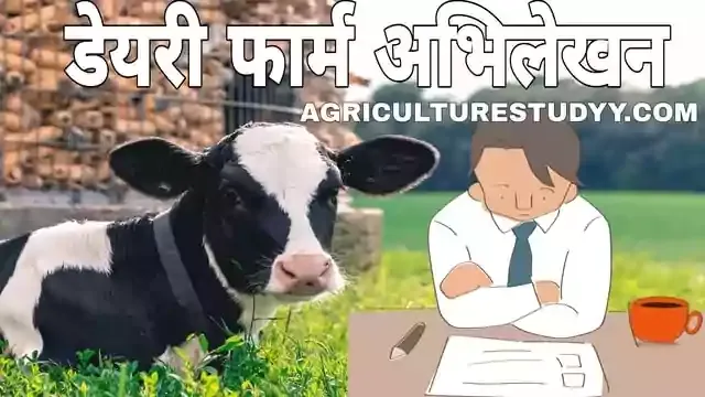 विभिन्न संदर्भों में 'फ़ोरम' के व्यावहारिक उदाहरण