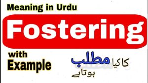 fostering meaning in hindi 1