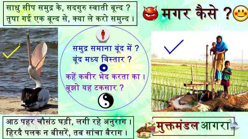 fowl meaning in hindi 4