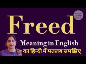 freed meaning in hindi 1