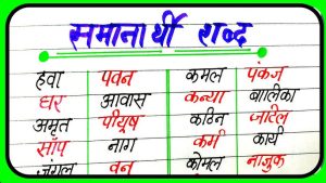 function meaning in hindi 4