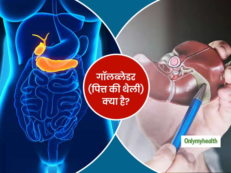 पित्ताशय की थैली: शरीर में भूमिका और कार्य (Gallbladder: Shareer mein bhumika aur karya)