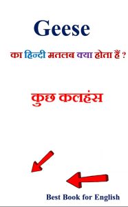 geese meaning in hindi 1