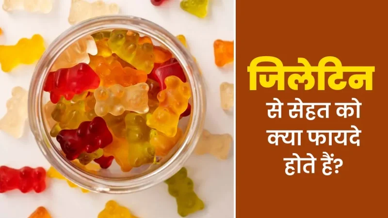 जिलेटिन के विभिन्न प्रकार: उपयोग और गुण