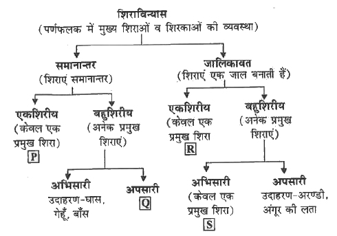 नरसंहार के विभिन्न प्रकार: क्या और कैसे (Nar Sanhar Ke Vibhinn Prakar: Kya Aur Kaise)