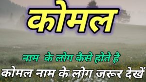 gentle meaning in hindi 1