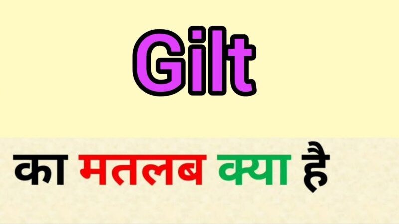 gilt meaning in hindi - Hình 2