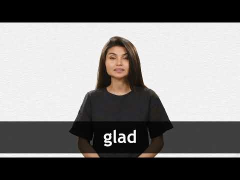 glad meaning in hindi 2