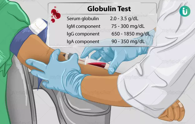 globulin meaning in hindi - Hình 1