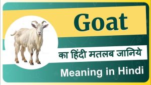 goat meaning in hindi