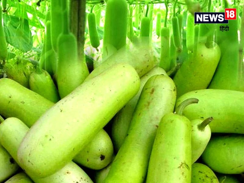 लौकी: सांस्कृतिक और धार्मिक महत्व (भारत में)