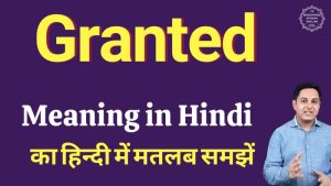 granted meaning in hindi