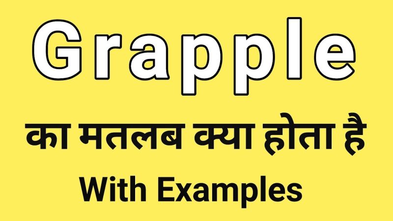 grapple meaning in hindi - Hình 2