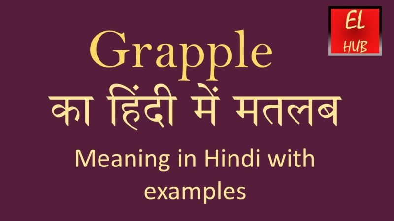 grapple meaning in hindi - Hình 3
