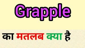 grapple meaning in hindi