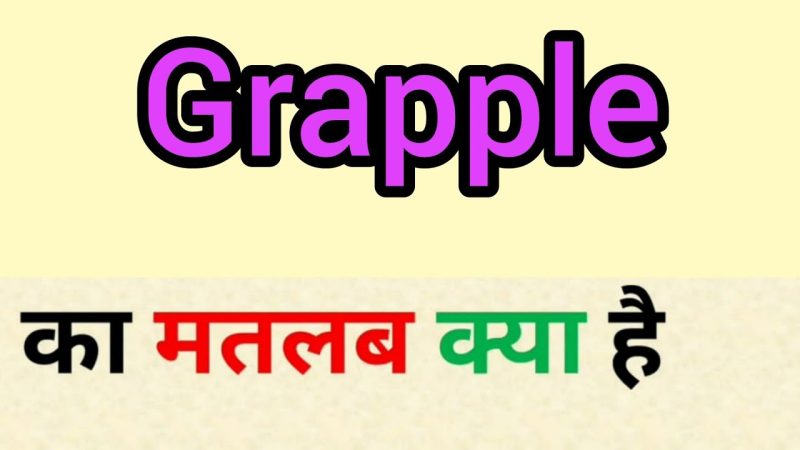 grapple meaning in hindi - Hình 1