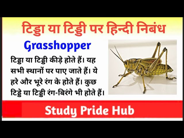 टिड्डी का आध्यात्मिक अर्थ: संदेश और प्रतीकवाद (Grasshopper ka aadhyatmik arth: Sandesh aur prateekvaad)