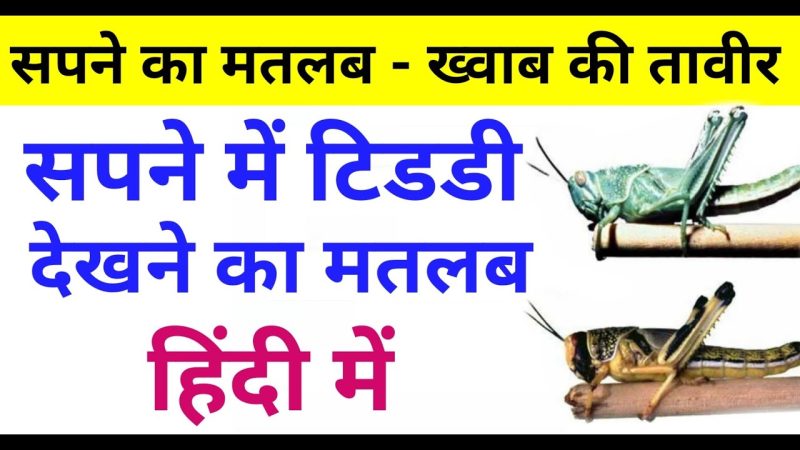 टिड्डी सपने का अर्थ: व्याख्या और अंतर्दृष्टि (Grasshopper sapne ka arth: Vyakhyta aur antardrishti)