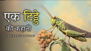 grasshopper meaning in hindi 5