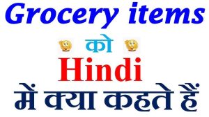 grocery meaning in hindi 1
