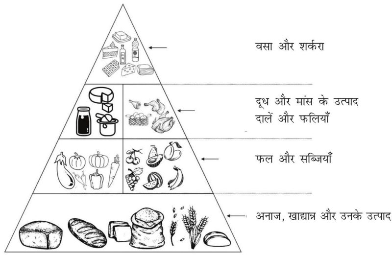 ऑनलाइन किराने की खरीदारी: हिंदी में उपलब्ध विकल्प