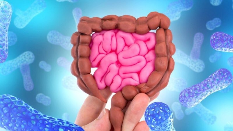 Gut Health Meaning In Hindi: आंत का स्वास्थ्य, फायदे, आहार और उपाय 11 खराब गट हेल्थ के लक्षण क्या हैं? (Kharab Gut Health Ke Lakshan Kya Hain?)