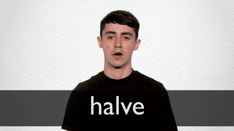 halves meaning in hindi 2
