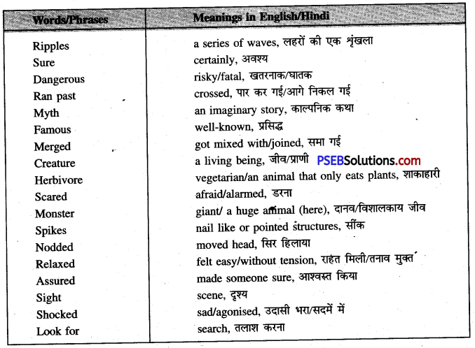 halves meaning in hindi 4