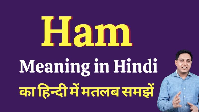 ham meaning in hindi - Hình 1