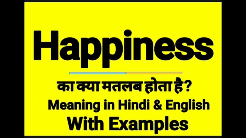 happiness meaning in hindi - Hình 3