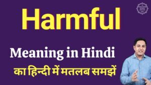 harmful meaning in hindi