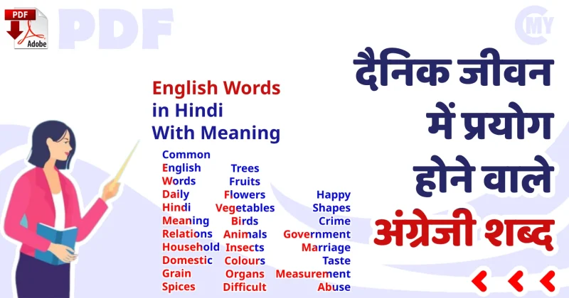 hat meaning in hindi 3