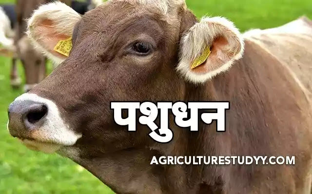 कृषि और पशुपालन में 'Hay' से संबंधित हिंदी शब्द