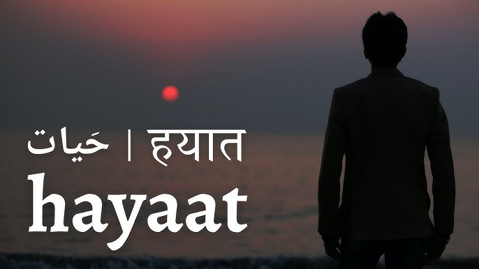 hayat meaning in hindi - Hình 3