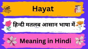 hayat meaning in hindi