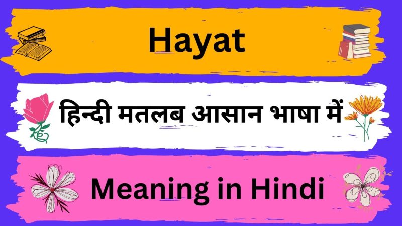 hayat meaning in hindi - Hình 1
