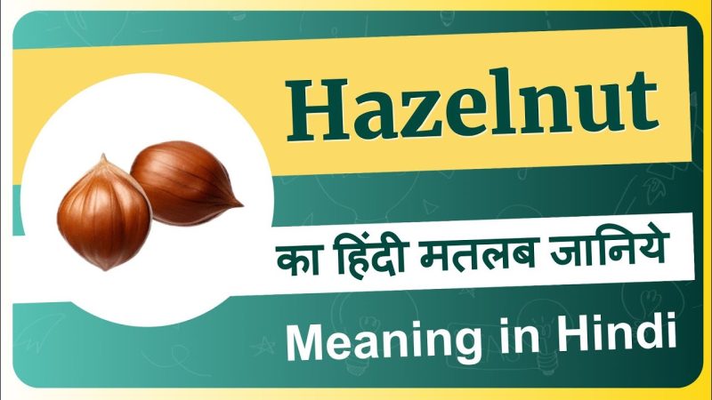 हेज़लनट का हिंदी अर्थ क्या है?