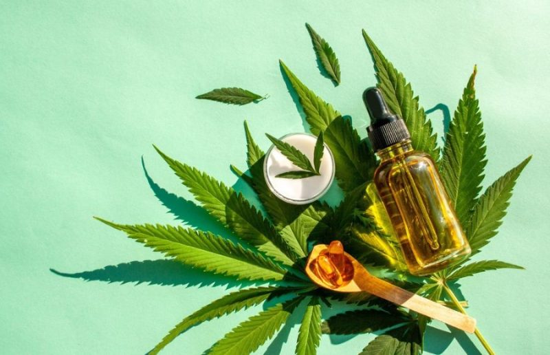हेम्प के विविध उपयोग और अनुप्रयोग: एक स्थायी समाधान (Diverse Uses and Applications of Hemp: A Sustainable Solution)