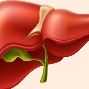 hepatomegaly meaning in hindi 4