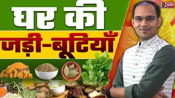 रसोई में इस्तेमाल होने वाली जड़ी बूटियों का हिंदी अर्थ (Kitchen Herbs Meaning in Hindi)