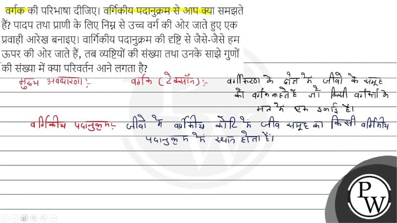 पदानुक्रम की परिभाषा और अवधारणा (परिभाषा और अवधारणा)