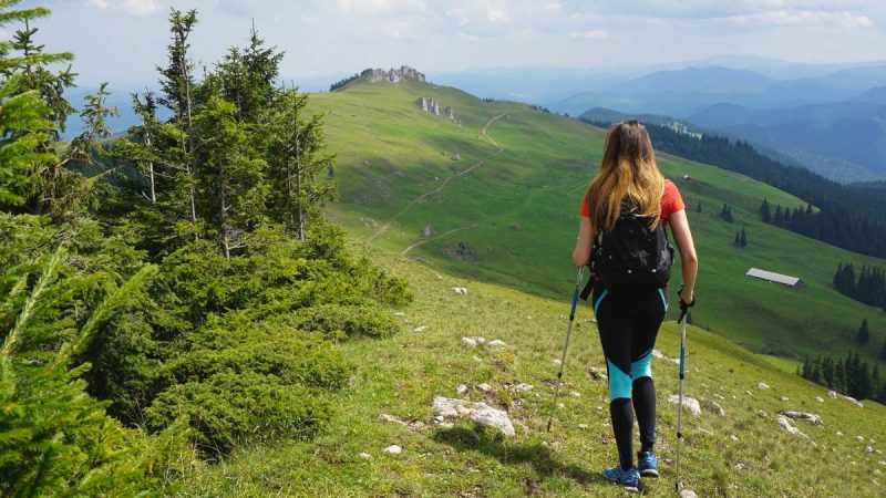 हाइकिंग और ट्रैकिंग में अंतर: परिभाषा, उपकरण और कठिनाई स्तर (Hiking aur traiking mein antar: Paribhasha, upakaran aur kathinaee star)