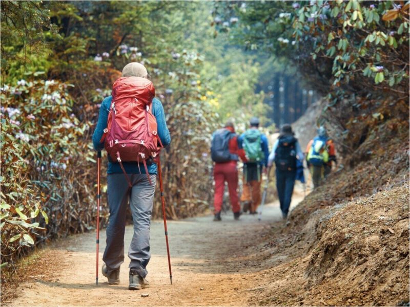 हाइकिंग के स्वास्थ्य लाभ: शारीरिक, मानसिक और भावनात्मक फायदे (Hiking ke svaasthy laabh: Shareerik, maanasik aur bhaavanaatmak phaayade)