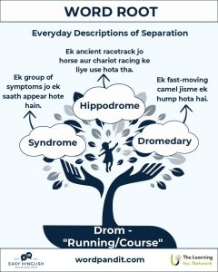hip meaning in hindi 2