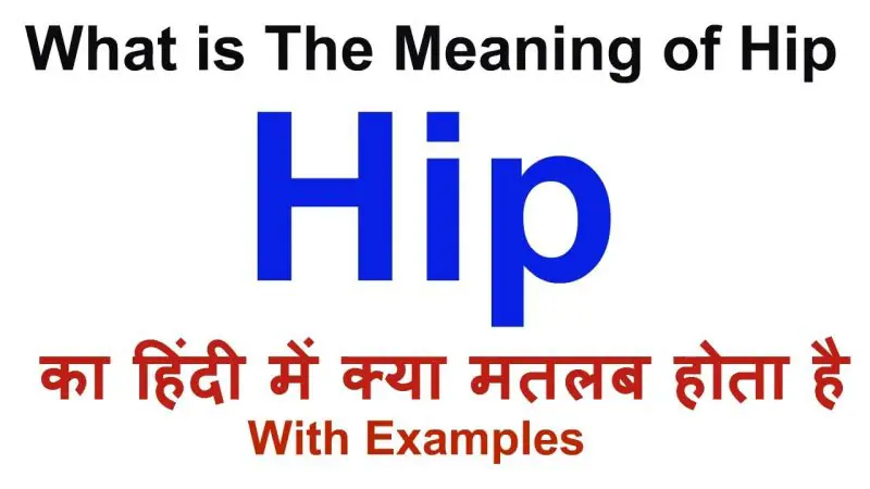 hip meaning in hindi 3.jpg